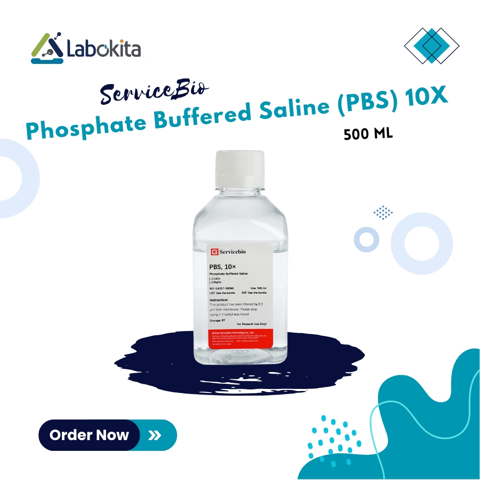 ServiceBio Phosphate Buffered Saline (PBS) 10X 500 mL