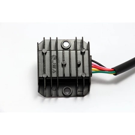 RECTIFIER, DAYTONA ANIMA