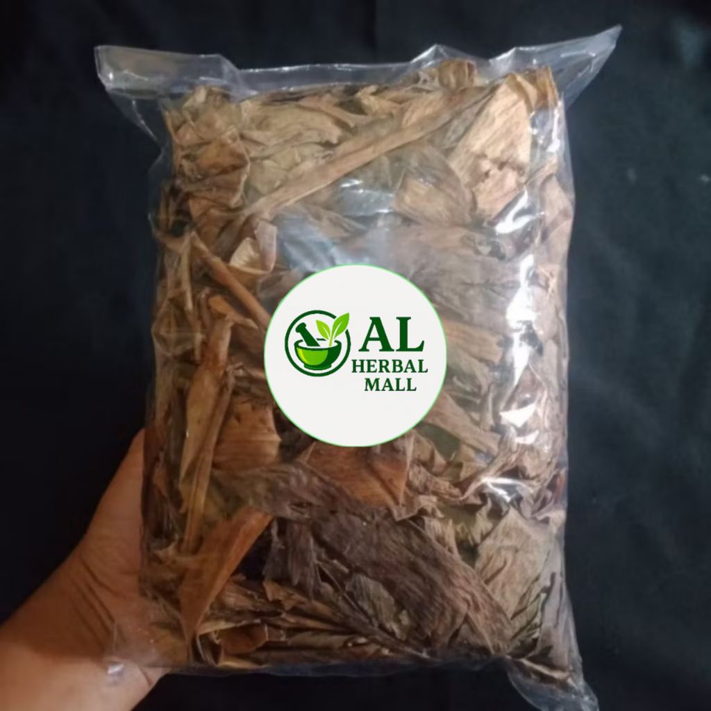 

Daun Ekor Naga Kering Per Bungkus Siap Seduh Per 100 Gram