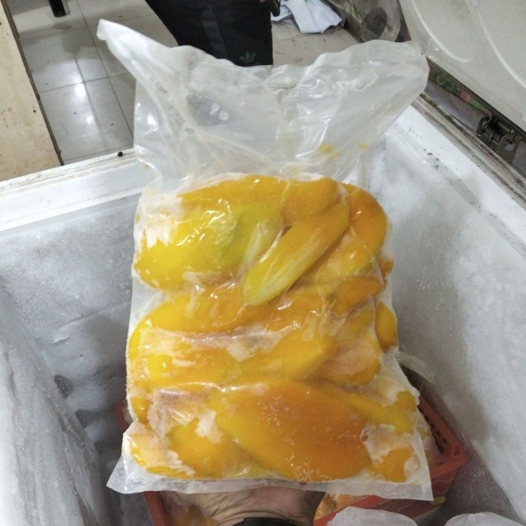 

Mangga Alpukat Frozen // Mangga Alpukat Beku Fresh 1kg