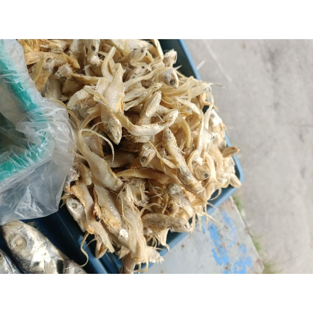 

bulu ayam gurih kering