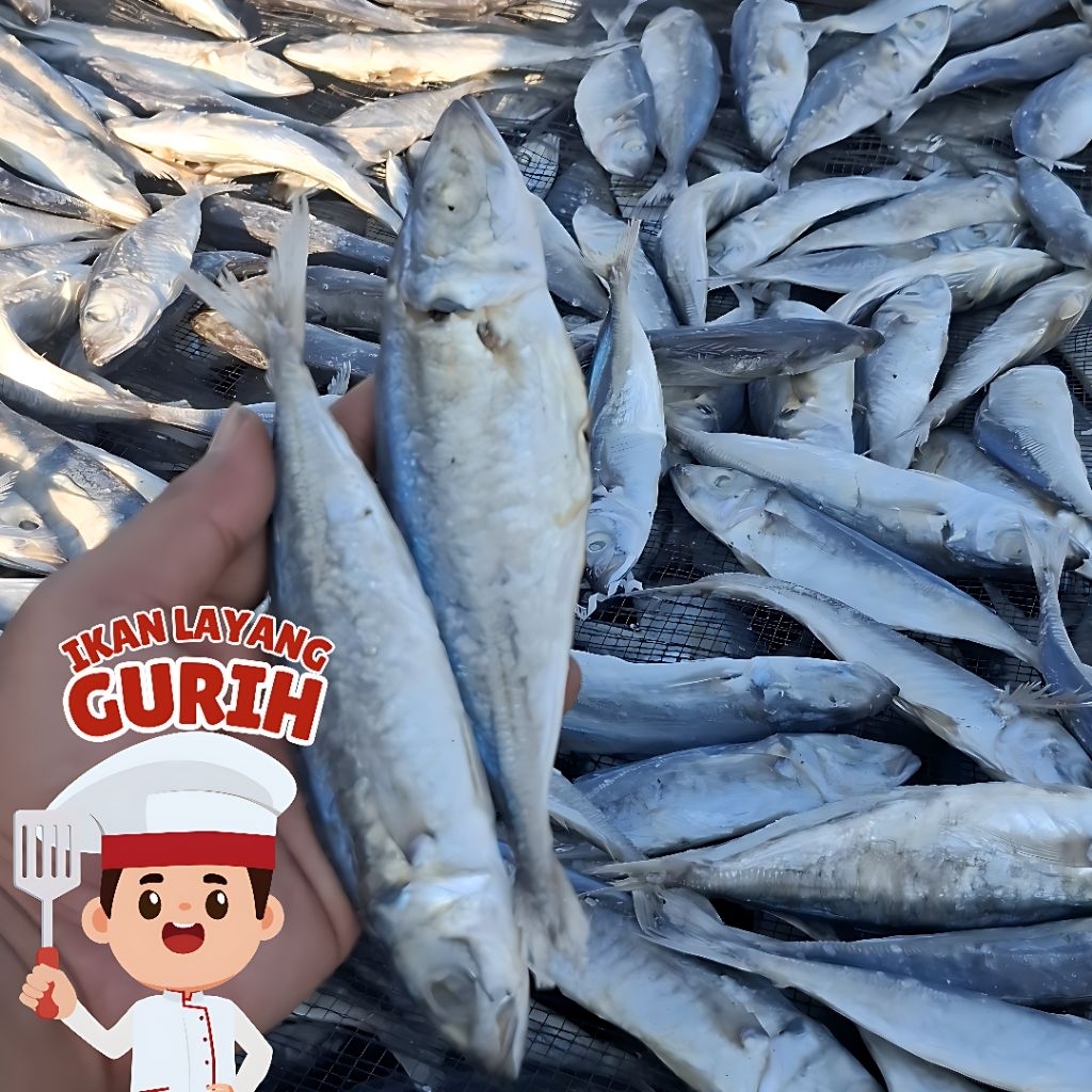 

Ikan Asin Layang Kering Gurih 250gram/500gram/1000gram Asli Pesisir Laut Sarang Rembang