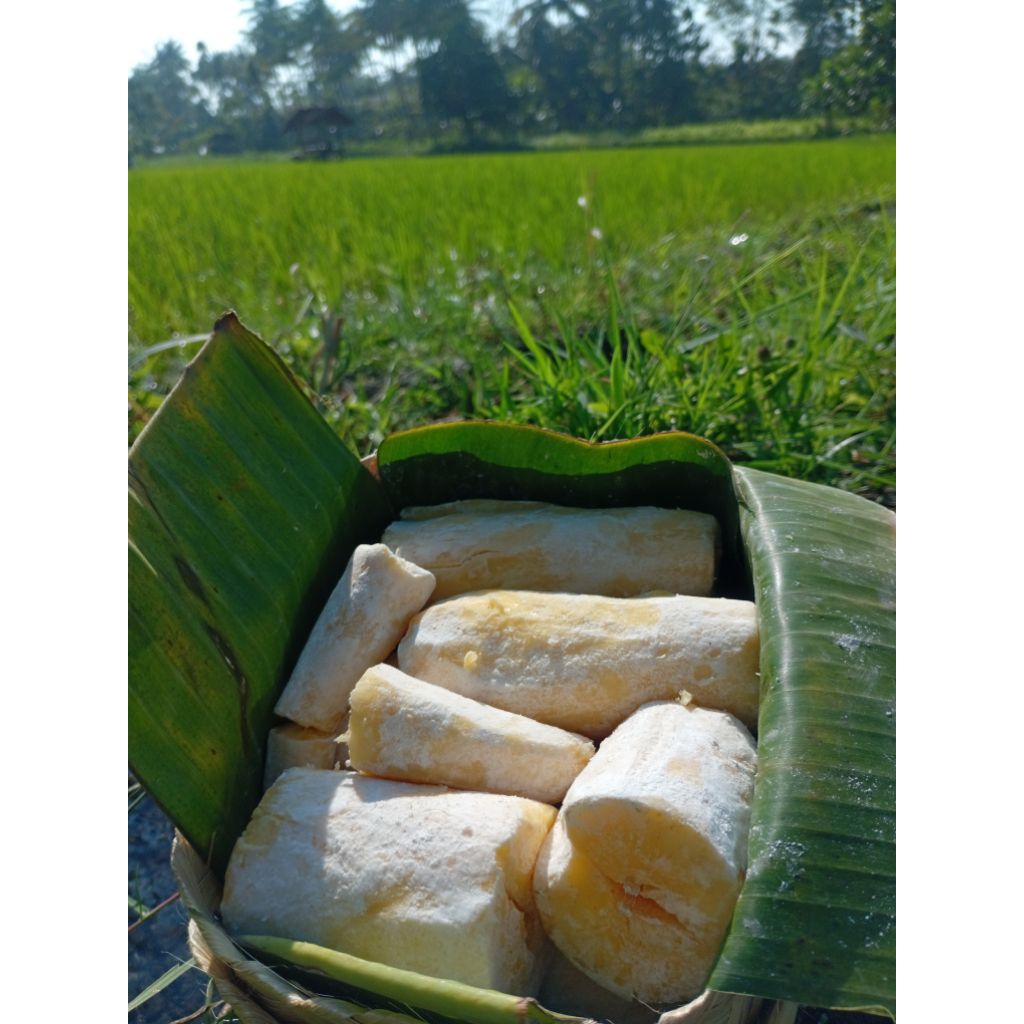 

TAPE ASLI KHAS BONDOWOSO