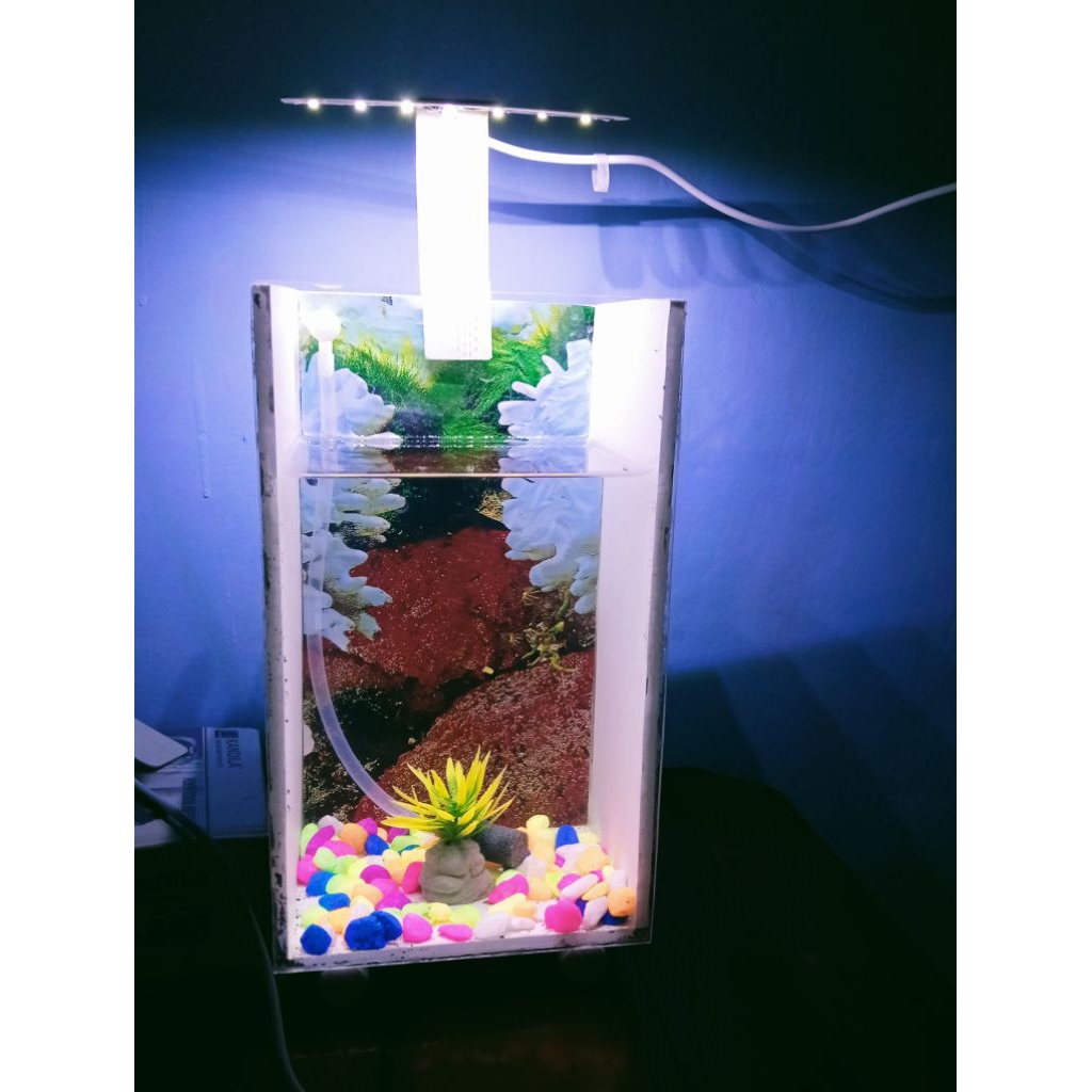 aquarium mini full set