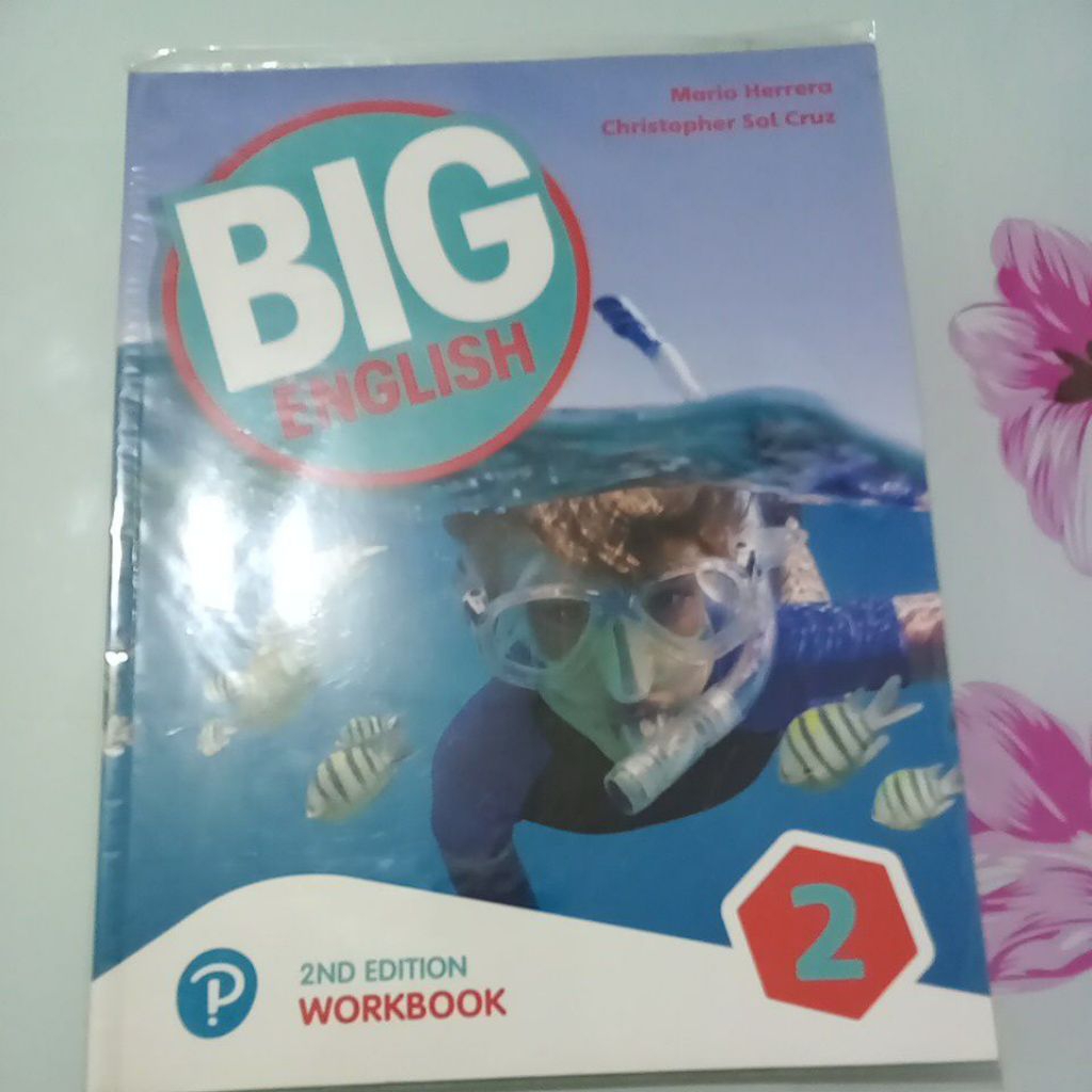 Big English 2 workbook 2nd edition