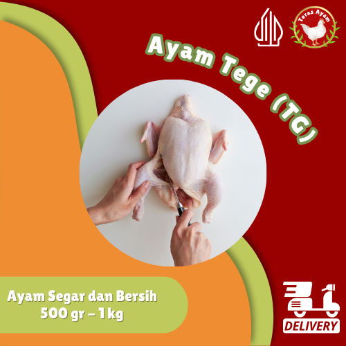 

Teras Ayam - Ayam Potong TG (Tege) 500 gr / 1 kg