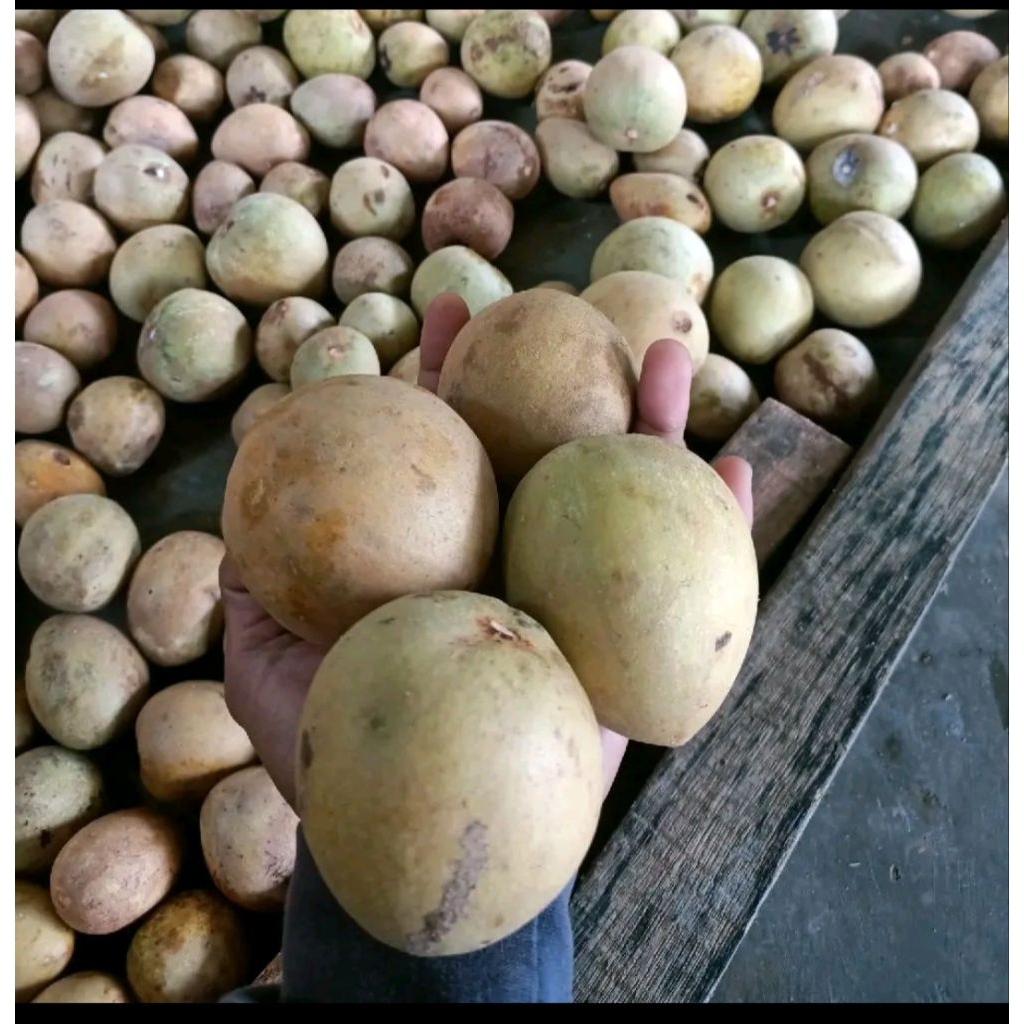 

buah sawo madu asli Pangandaran 1kg