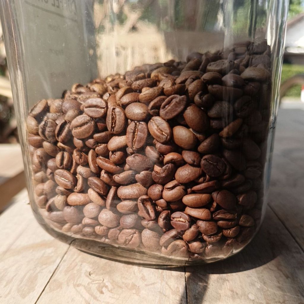 

Roast Bean Arabika Ijen Proses Anaerob 200 gram - Specialty|Fresh Roast