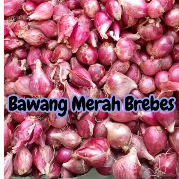 

Bawang Merah Brebes Segar