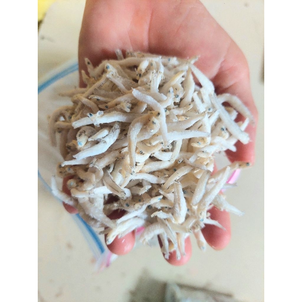 

Teri Nasi Asin Medan Premium, Putih Jumbo, 250gr/500gr