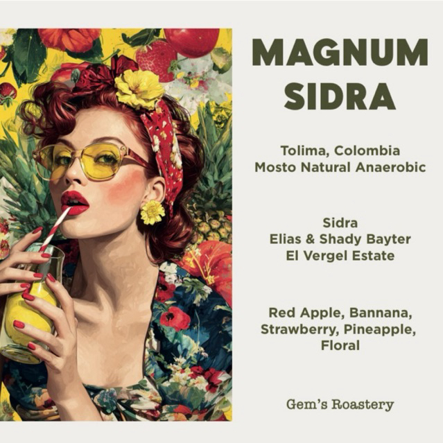 

Magnum Sidra Filter Beans Arabica 100gr