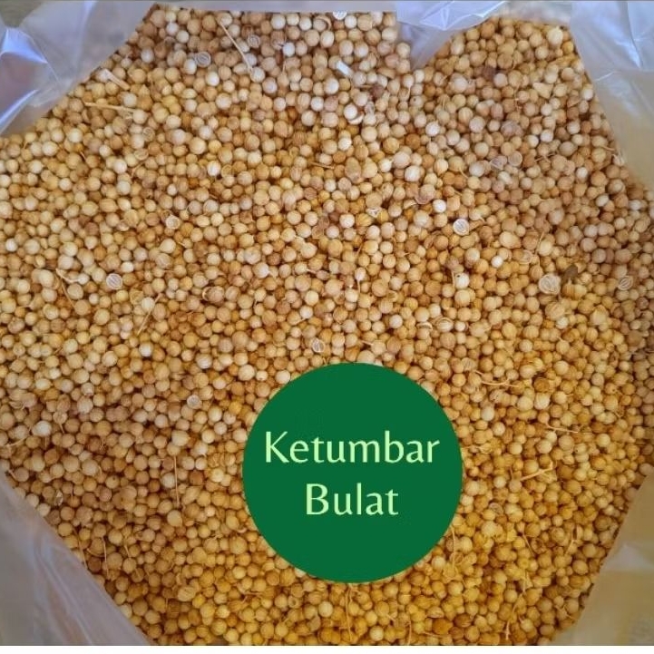 

Ketumbar Bulat Bersih