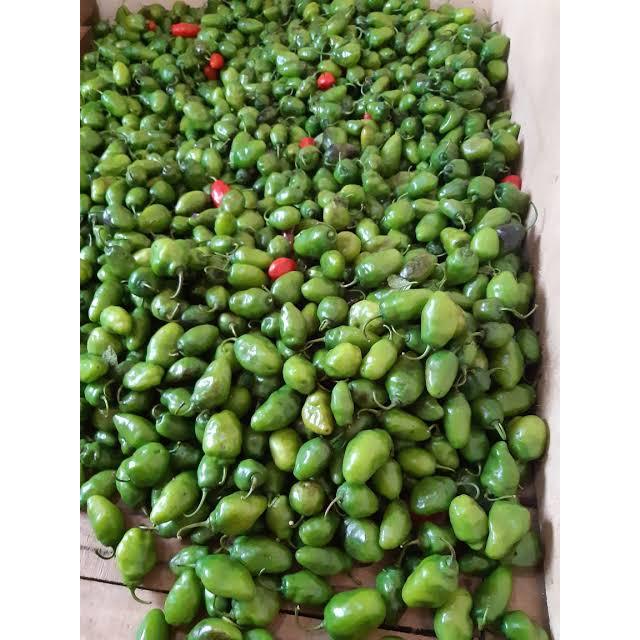 

cabe gendot seger-buah/sayur BANDUNG+cabe gendol