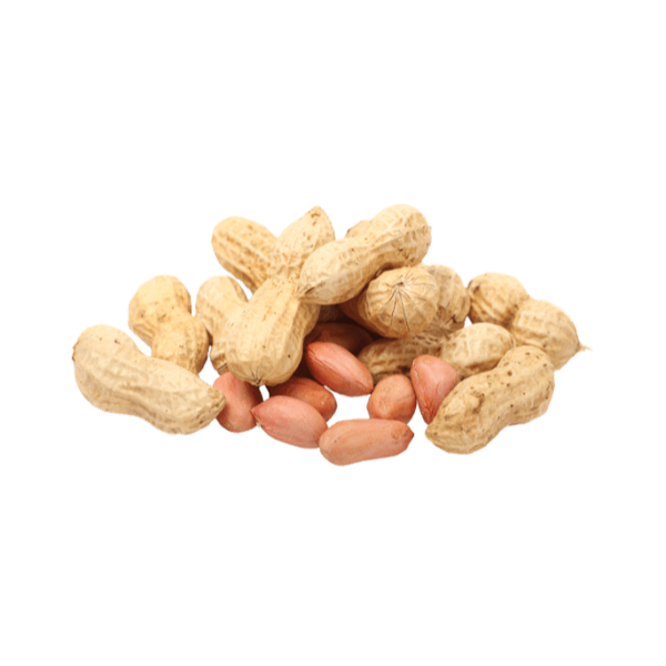 

Kacang Tanah Kulit Sangrai/Kacang Kulit Sangrai Tawar 500gram