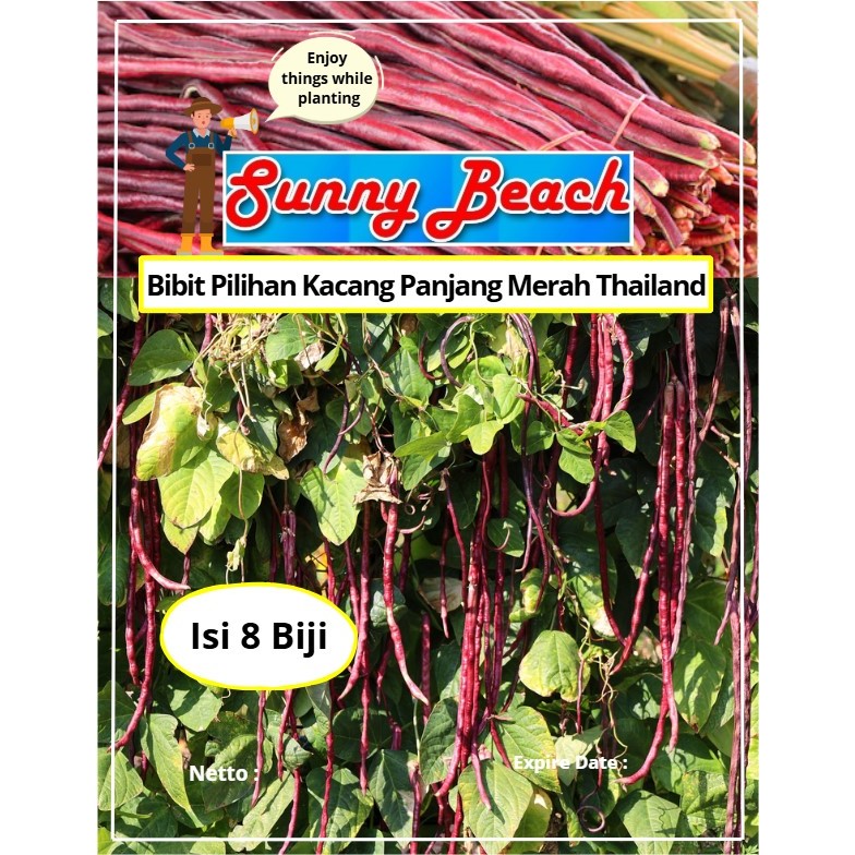 Bibit Pilihan Kacang Panjang Merah Thailand | Biji Benih Kacang Panjang Merah Thailand | Kacang Panj
