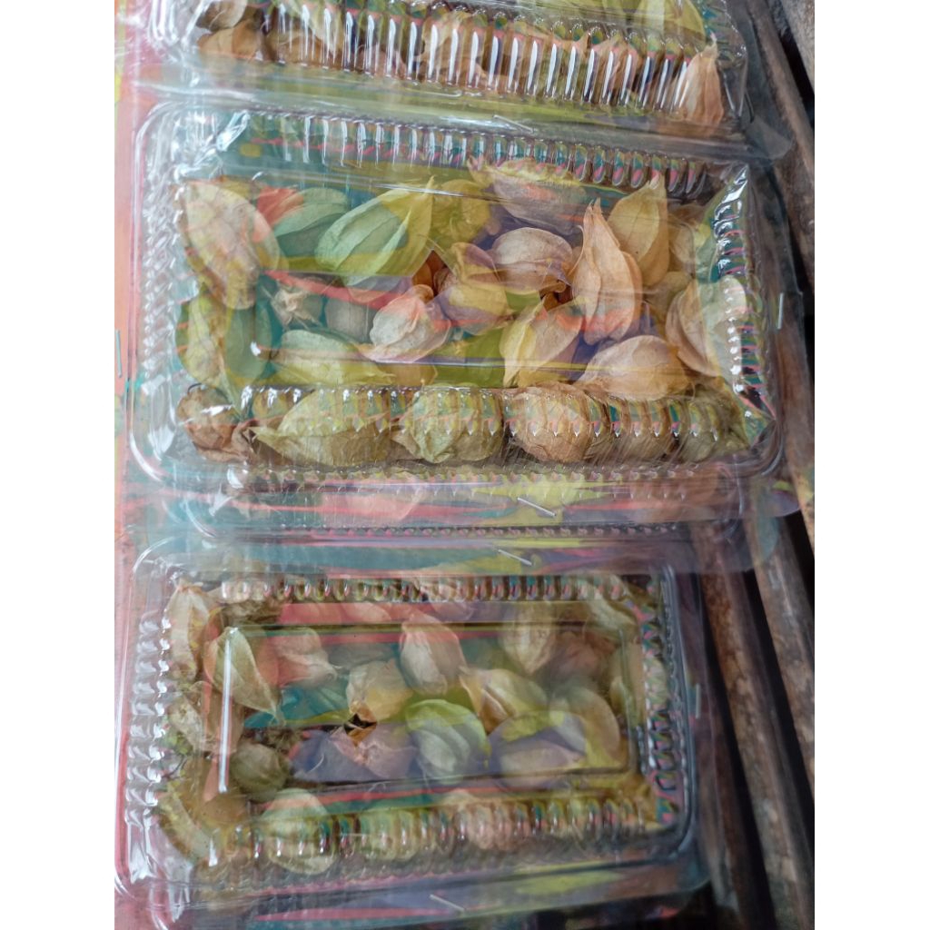 

Buah Ceplukan / Ciplukan / Morel berry pack