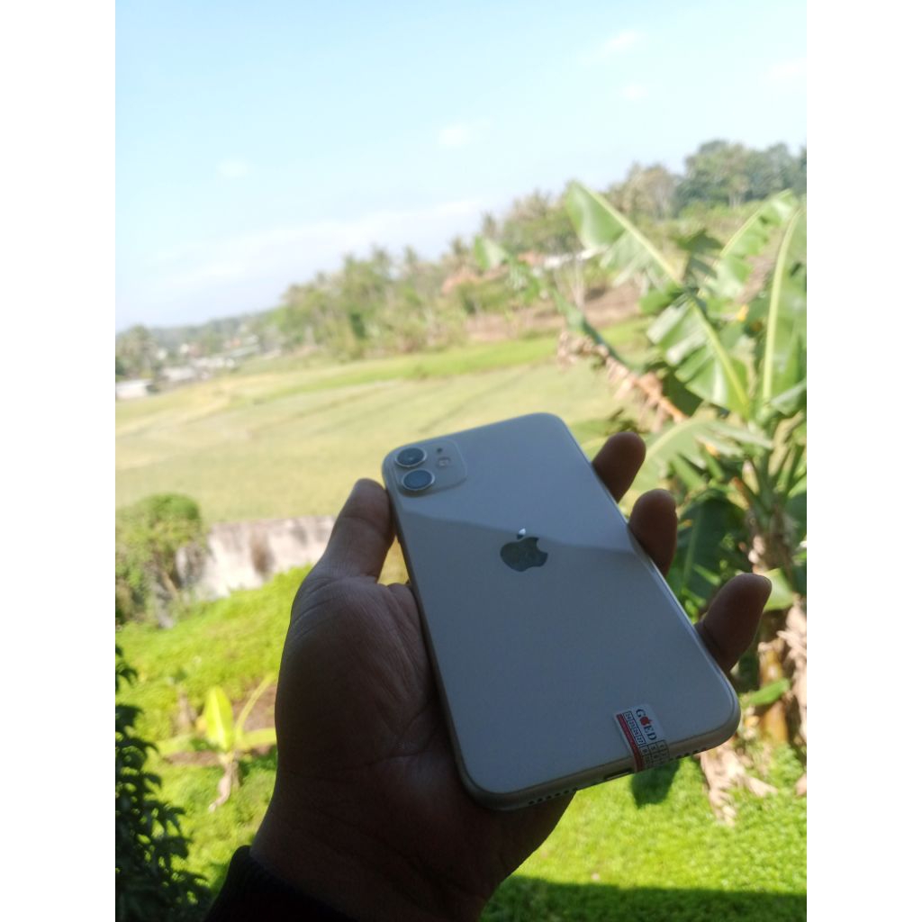iphone 11 second murah // ip 11 64gb allop murah