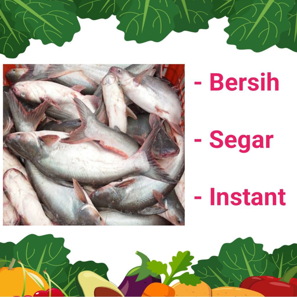 

IKAN PATIN SEGAR & BERSIH - PALEMBANG