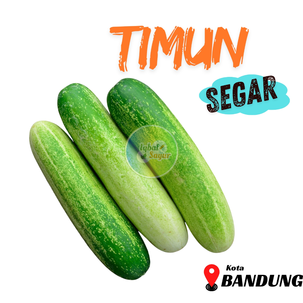 

Timun lalap / Bonteng Segar Bandung