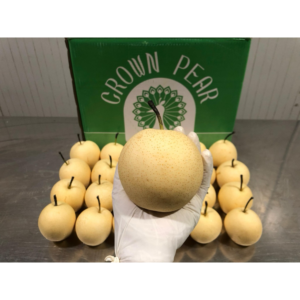 

Pir Century Segar 1kg