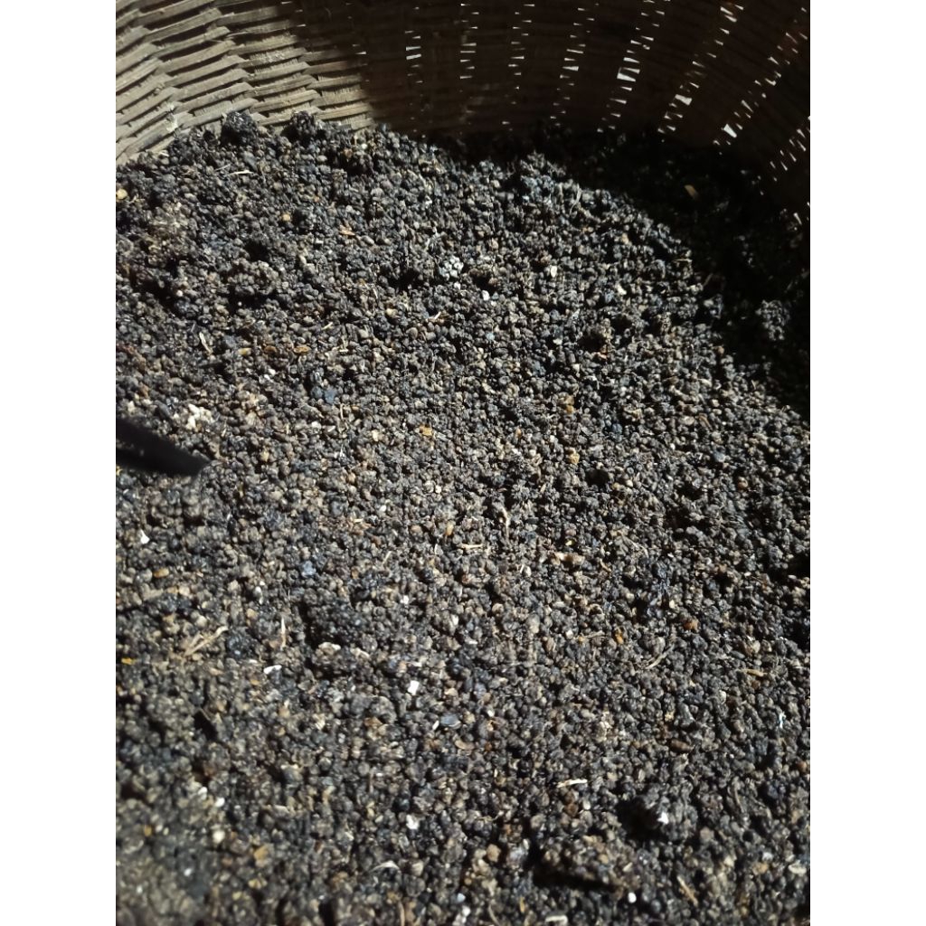 

Oyek Tiwul Singkong Asli Cilacap 1kg 500gr Super