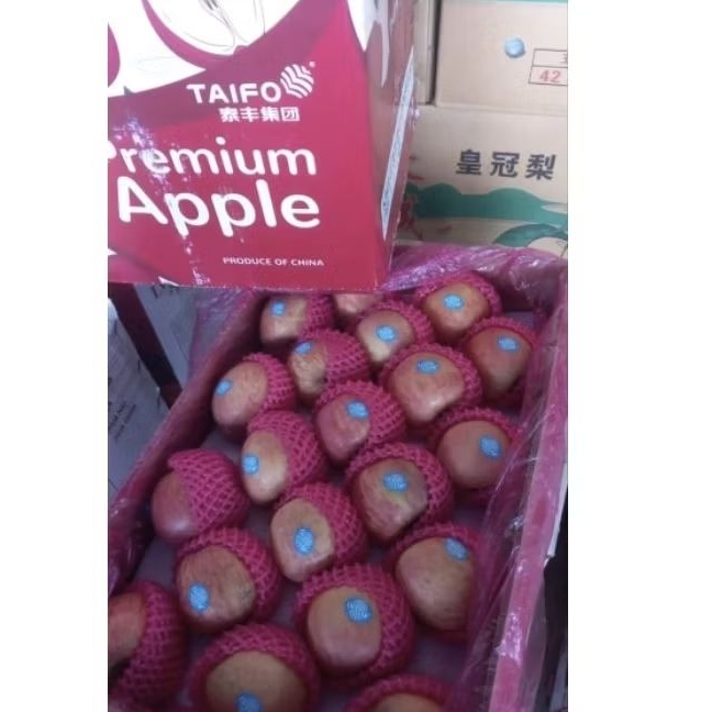 

Apel Fuji TAIFO (size 100) 18 kg 1 dus per box Fresh Jogja