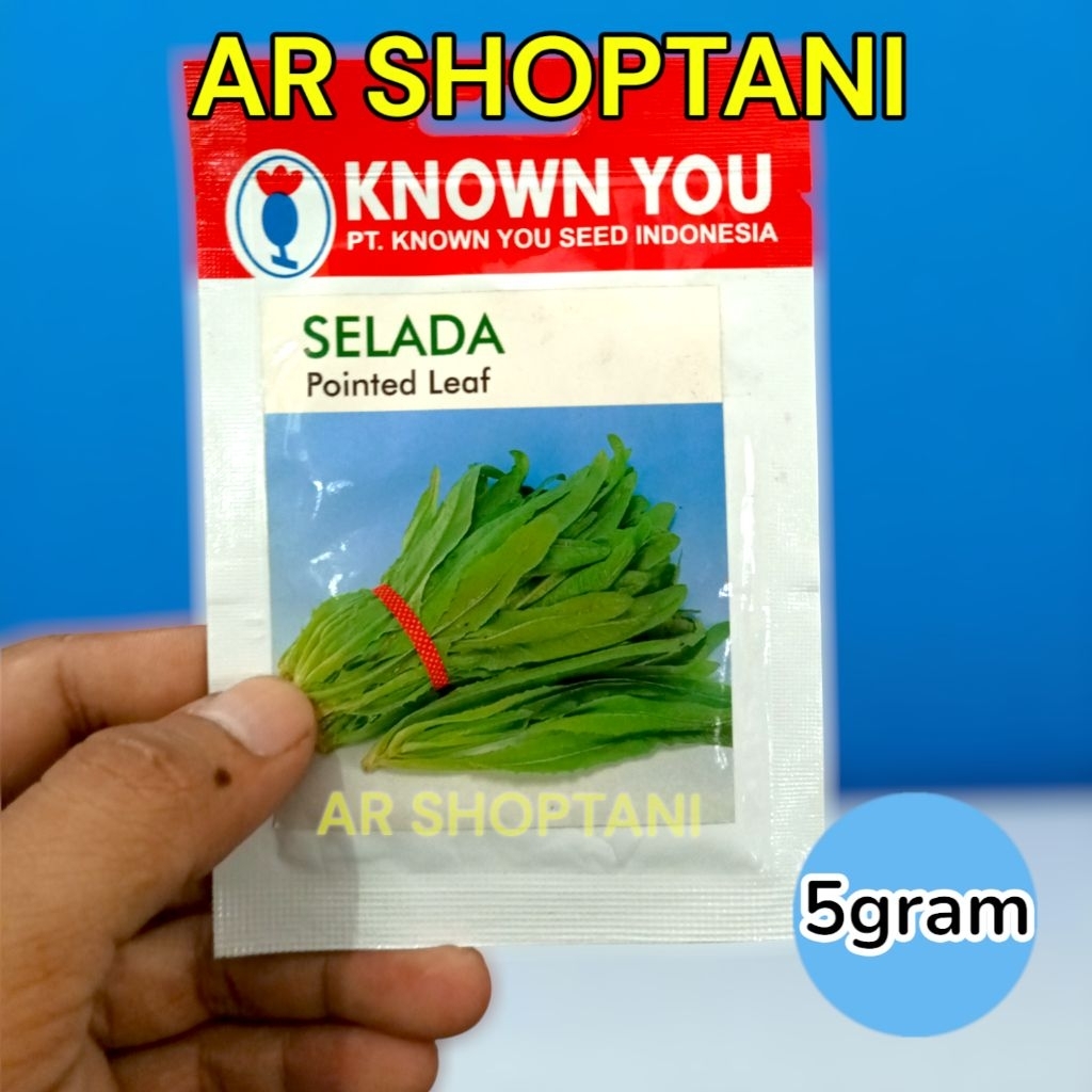 

selada POINTED LEAF 5gr (saset kecil) know you