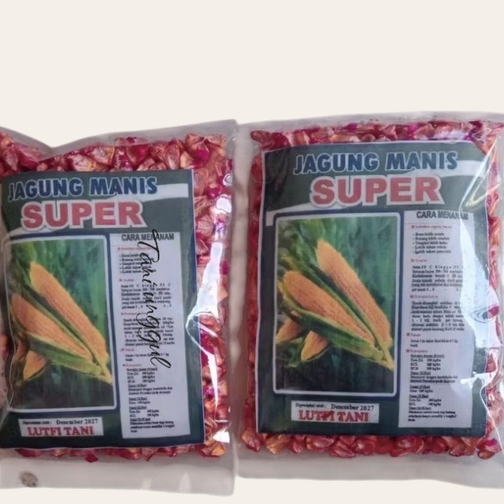 

BIBIT JAGUNG MANIS SUPER 90 GRAM KEMASAN RIPECK