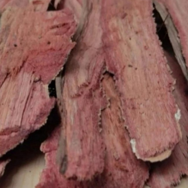 

Kulit Pohon Jengkol Segar Obat Diabetes