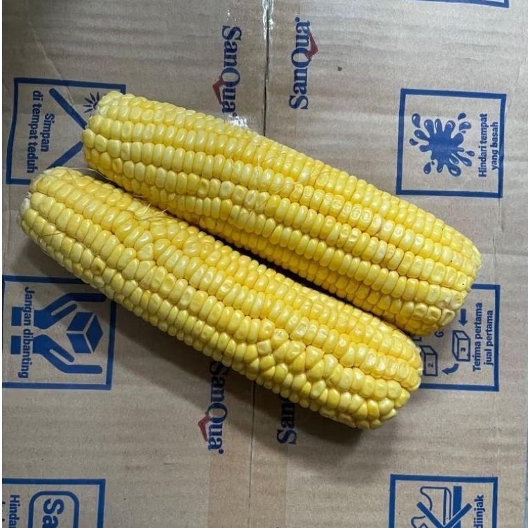 

KIRIM INSTAN jagung manis