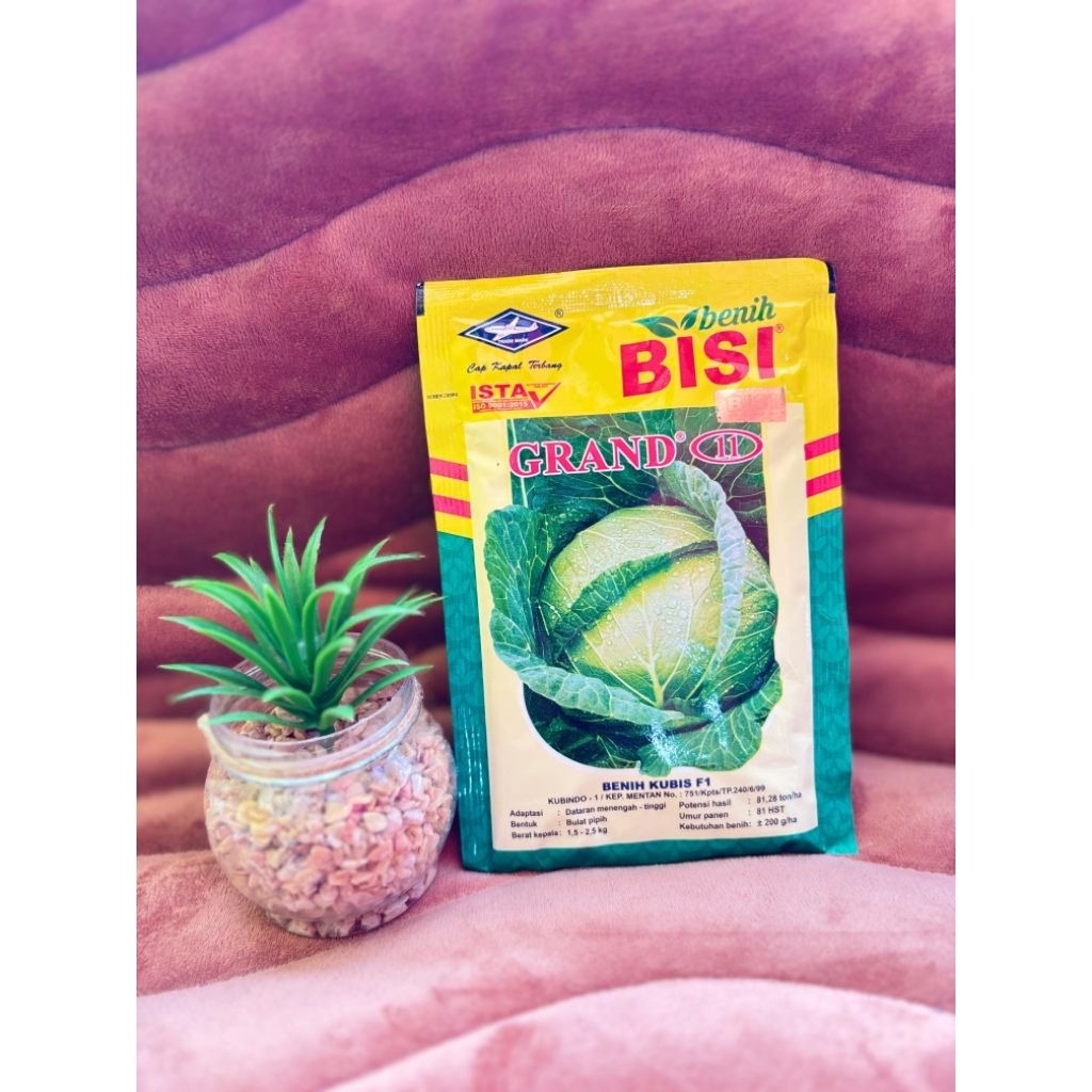 benih kubis grand 11 - 100 gram - cap kapal terbang