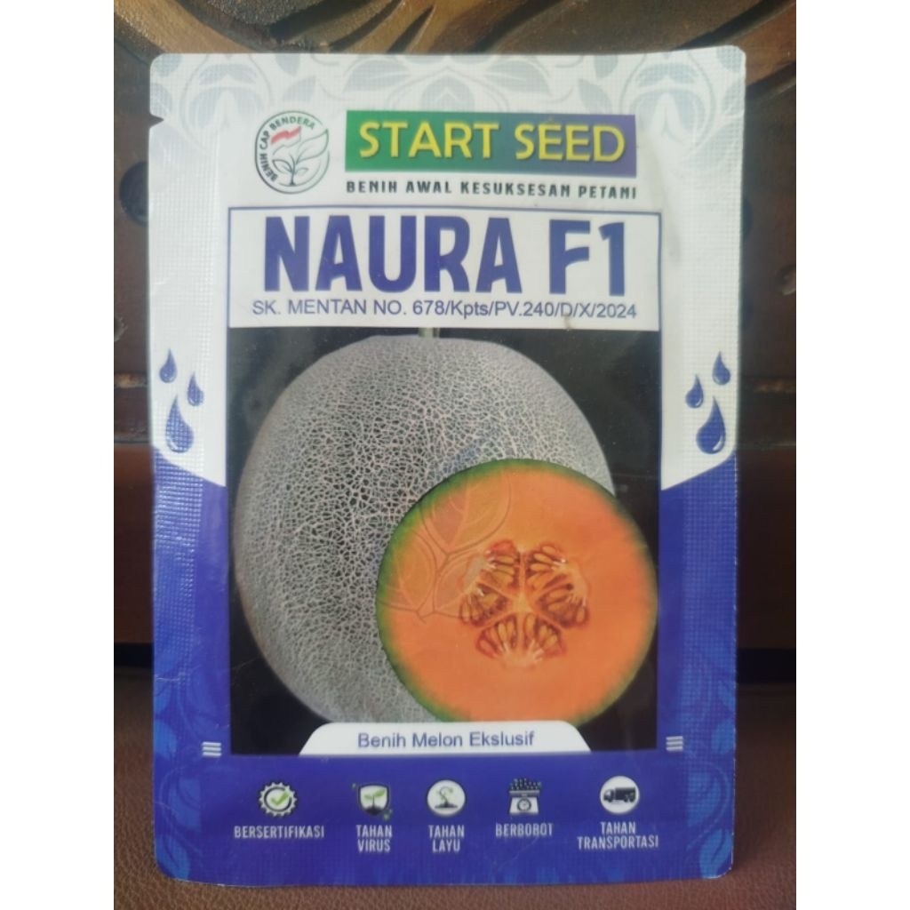 Benih melon NAURA F1 original pabrik