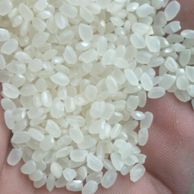 

Beas Japonica | Beras Jepang | Beras sushi original | Repack 1kg