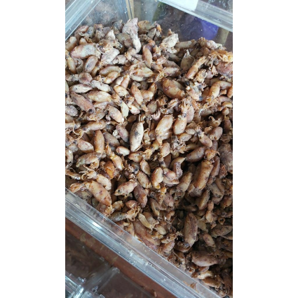 

baby cumi premium tanggung 250gr