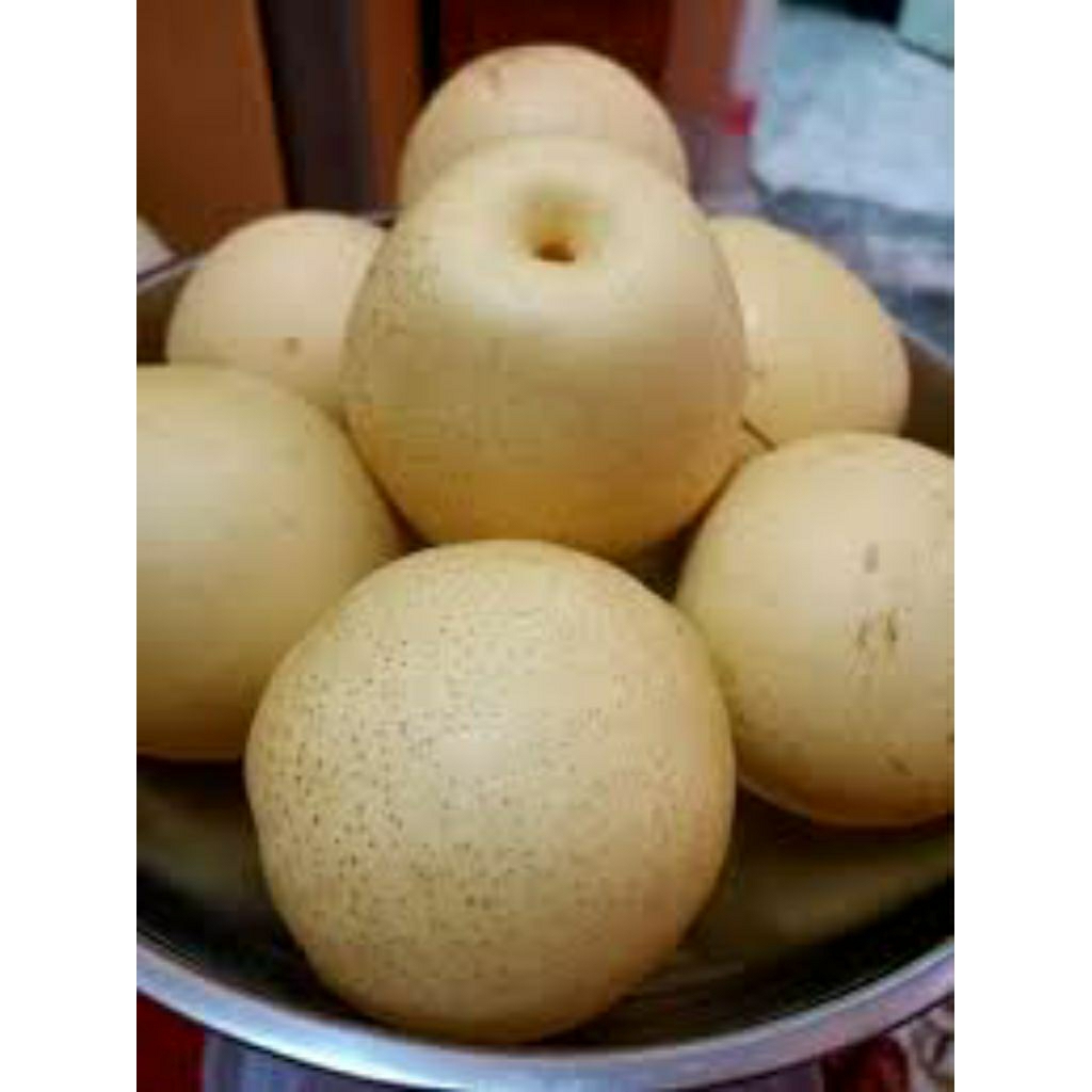 

buah pear import segar dan higienis