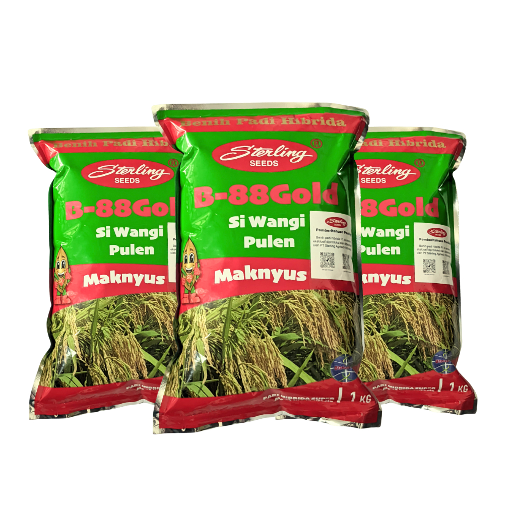 Benih Padi Sterling BS 88 SHS