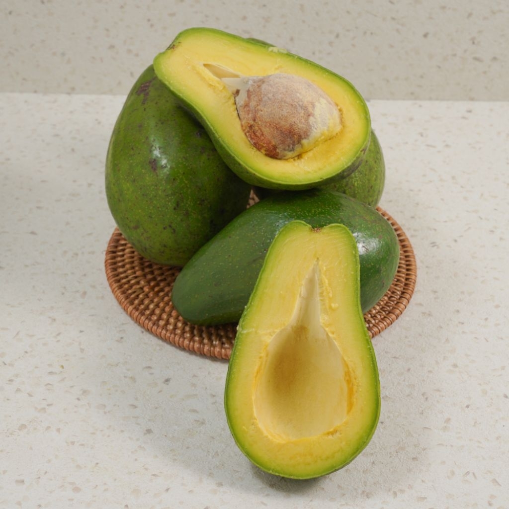 

Alpukat Super Bergaransi