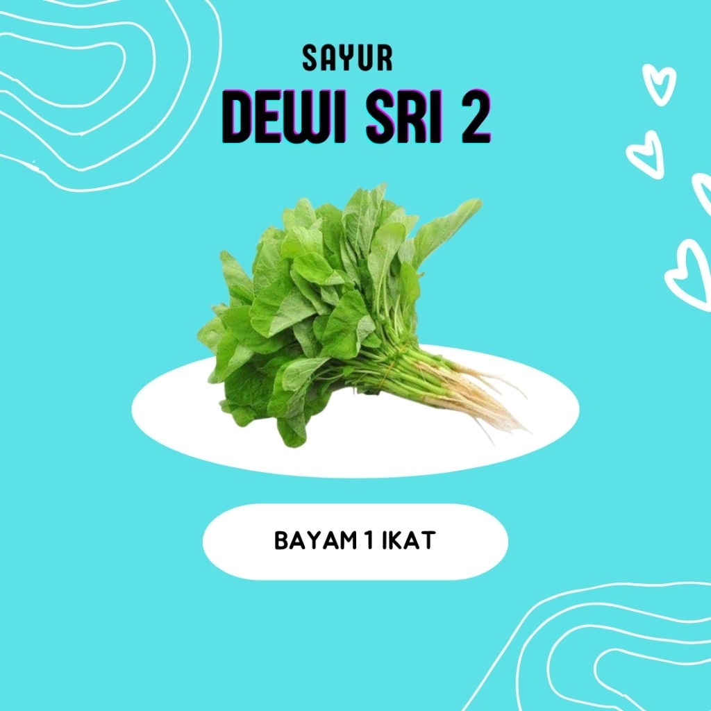 

Bayam Akar 1 Ikat - Dewi Sri 2