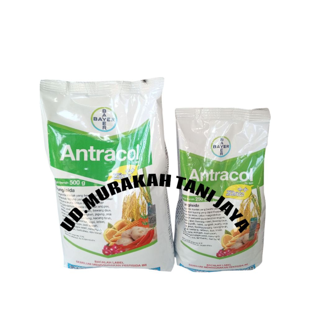 fungisidaAntracol