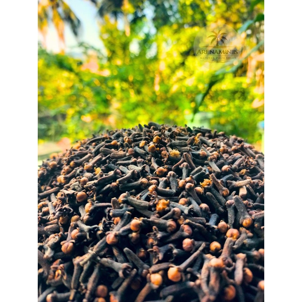 

Cengkeh Kering Asli | Rempah Premium Aromatik