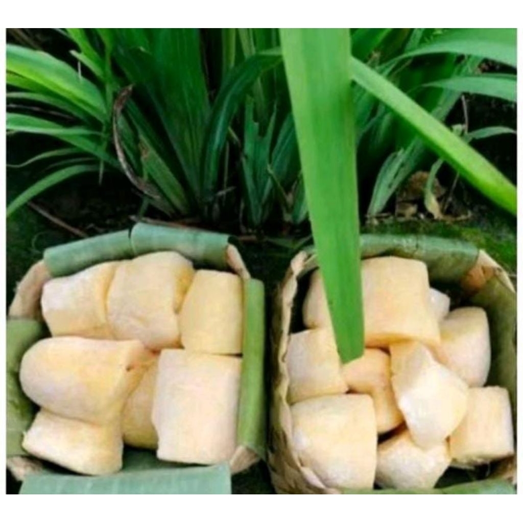 

1 kg tape singkong mentega manus empuk