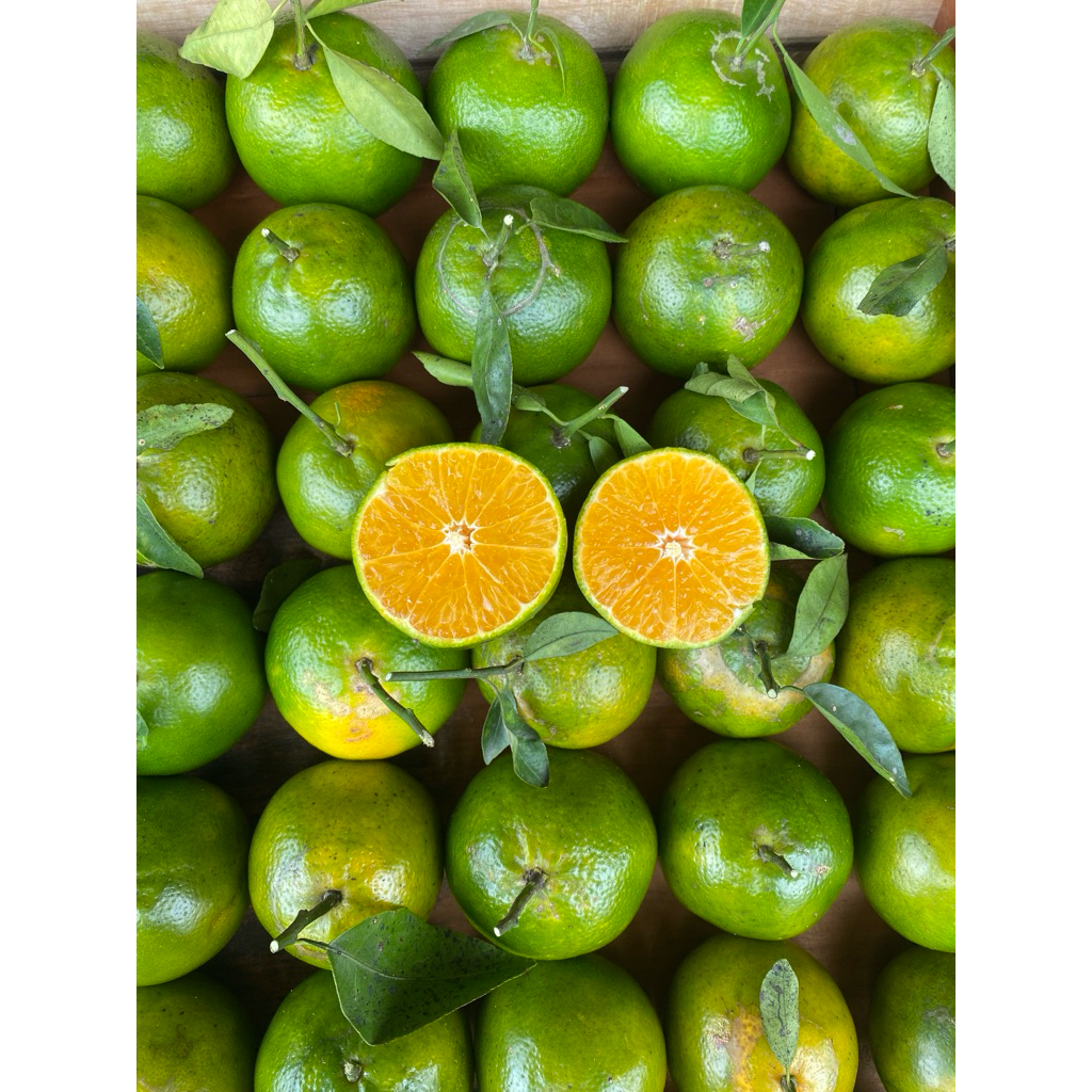 

JERUK ASLI SEMBORO [FRESH TANAM SENDIRI] 1/2kg