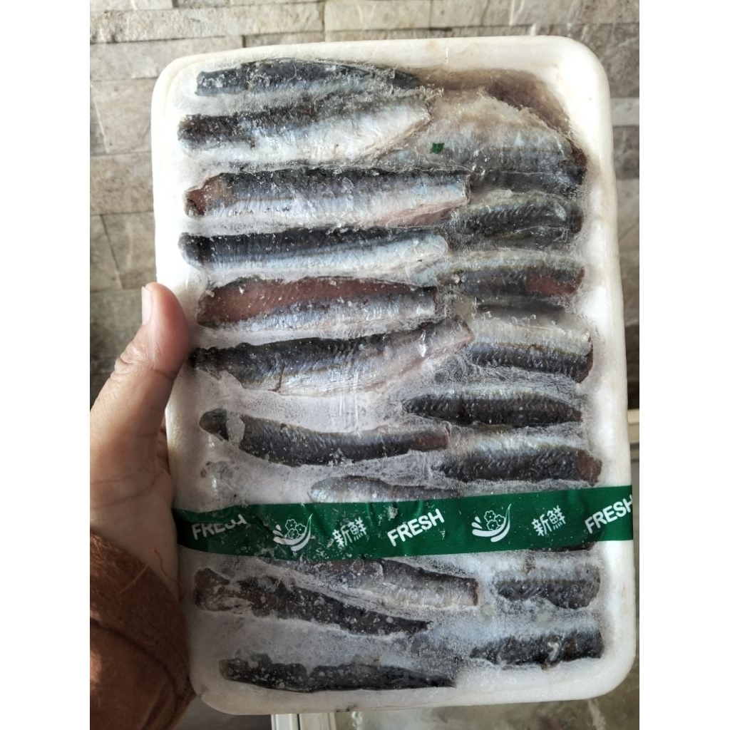 

Frozen Sarden Fresh Bersih MURAH