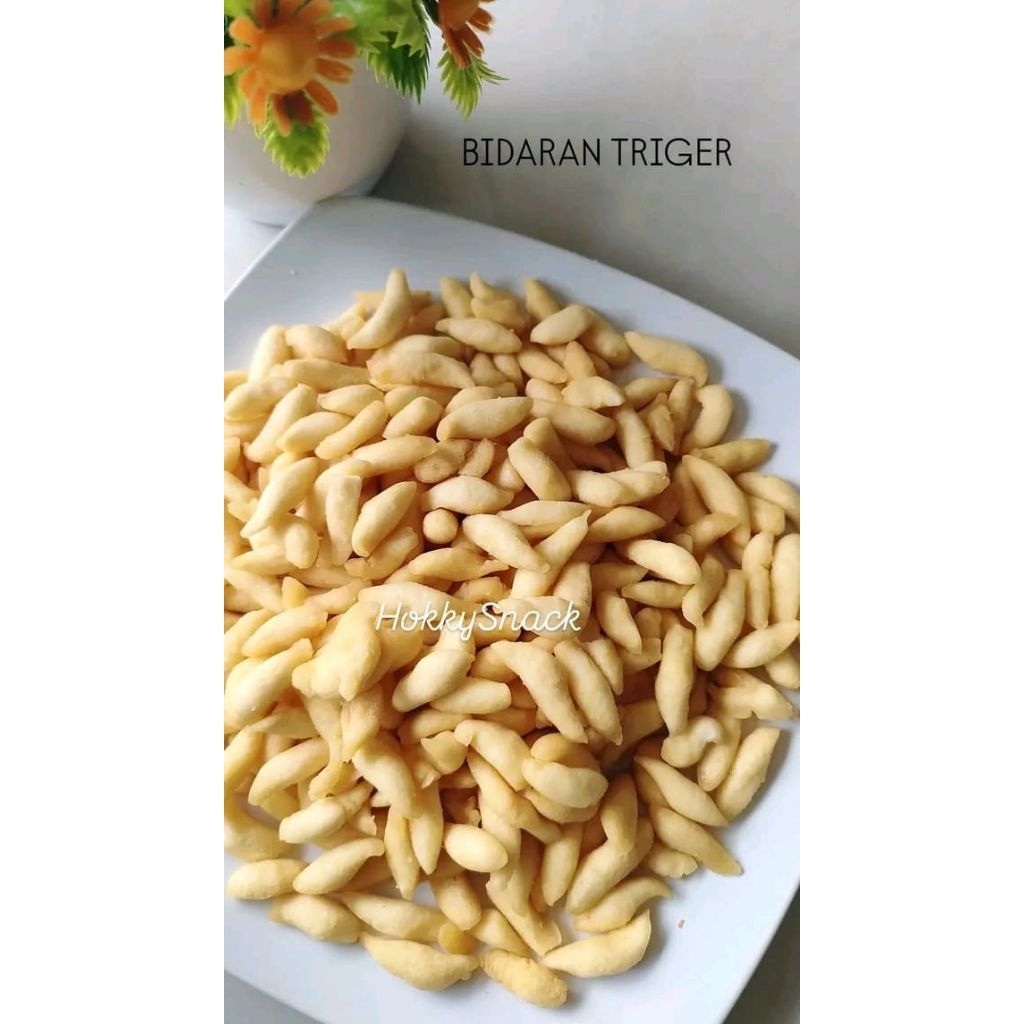 

BIDARAN TRIGER - CAMILAN MURAH