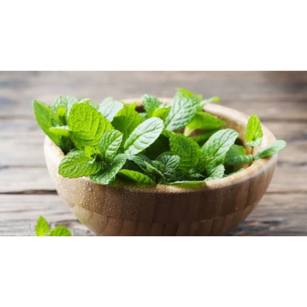 

daun mint frees 250g
