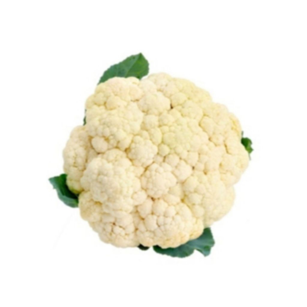 

Bunga Kol / Kembang Kol