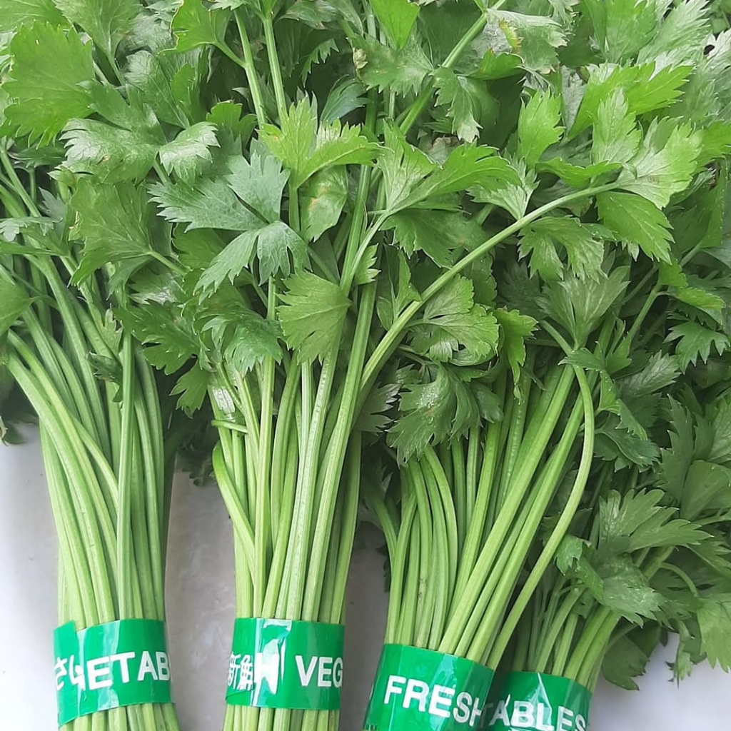 

SELEDRI 1 ikat 50gr daun sop segar