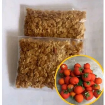 

Biji Terong Pari 1 Kantong Isi 250 Biji, Benih Terong Hutan, Terong Berduri Obat Herbal Rempah, Obat Sakit gigi