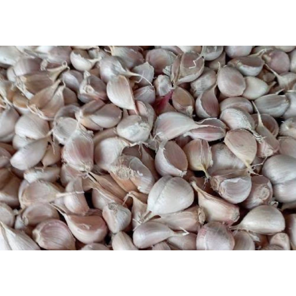 

bawang putih kating super1kg