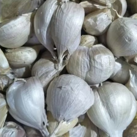 

Bawang Putih Kating 250gr